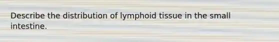 Describe the distribution of lymphoid tissue in the small intestine.