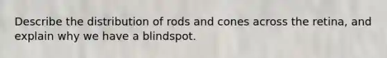 Describe the distribution of rods and cones across the retina, and explain why we have a blindspot.