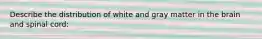 Describe the distribution of white and gray matter in the brain and spinal cord: