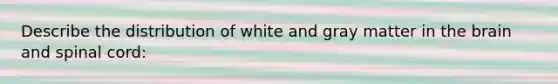 Describe the distribution of white and gray matter in the brain and spinal cord: