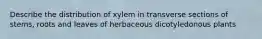 Describe the distribution of xylem in transverse sections of stems, roots and leaves of herbaceous dicotyledonous plants