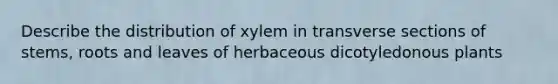 Describe the distribution of xylem in transverse sections of stems, roots and leaves of herbaceous dicotyledonous plants