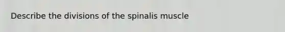 Describe the divisions of the spinalis muscle