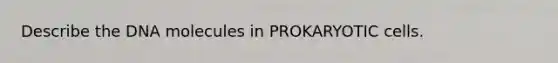 Describe the DNA molecules in PROKARYOTIC cells.