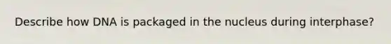 Describe how DNA is packaged in the nucleus during interphase?