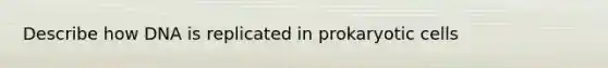 Describe how DNA is replicated in prokaryotic cells