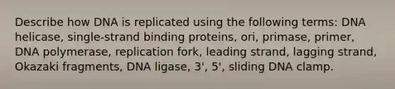 Describe how DNA is replicated using the following terms: DNA helicase, single-strand binding proteins, ori, primase, primer, DNA polymerase, replication fork, leading strand, lagging strand, Okazaki fragments, DNA ligase, 3', 5', sliding DNA clamp.