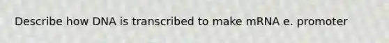 Describe how DNA is transcribed to make mRNA e. promoter