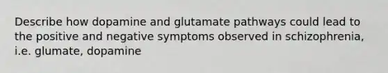 Describe how dopamine and glutamate pathways could lead to the positive and negative symptoms observed in schizophrenia, i.e. glumate, dopamine