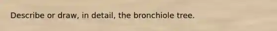 Describe or draw, in detail, the bronchiole tree.