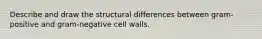 Describe and draw the structural differences between gram-positive and gram-negative cell walls.