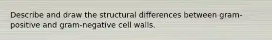 Describe and draw the structural differences between gram-positive and gram-negative cell walls.