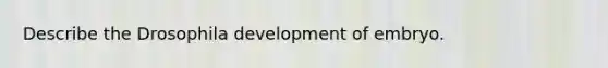 Describe the Drosophila development of embryo.