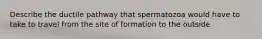 Describe the ductile pathway that spermatozoa would have to take to travel from the site of formation to the outside