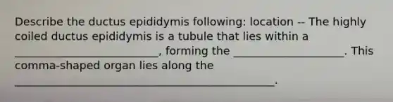 Describe the ductus epididymis following: location -- The highly coiled ductus epididymis is a tubule that lies within a __________________________, forming the ____________________. This comma-shaped organ lies along the _______________________________________________.