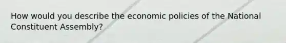 How would you describe the economic policies of the National Constituent Assembly?