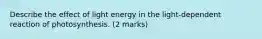 Describe the effect of light energy in the light-dependent reaction of photosynthesis. (2 marks)