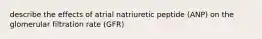 describe the effects of atrial natriuretic peptide (ANP) on the glomerular filtration rate (GFR)