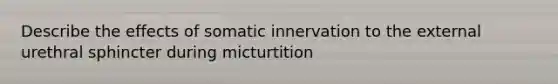 Describe the effects of somatic innervation to the external urethral sphincter during micturtition