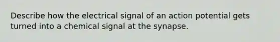 Describe how the electrical signal of an action potential gets turned into a chemical signal at the synapse.