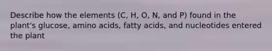 Describe how the elements (C, H, O, N, and P) found in the plant's glucose, amino acids, fatty acids, and nucleotides entered the plant