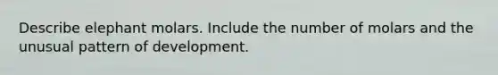 Describe elephant molars. Include the number of molars and the unusual pattern of development.