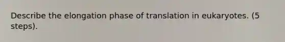 Describe the elongation phase of translation in eukaryotes. (5 steps).