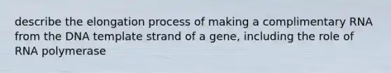 describe the elongation process of making a complimentary RNA from the DNA template strand of a gene, including the role of RNA polymerase