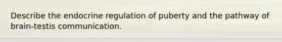 Describe the endocrine regulation of puberty and the pathway of brain-testis communication.