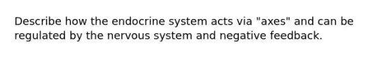 Describe how the endocrine system acts via "axes" and can be regulated by the nervous system and negative feedback.