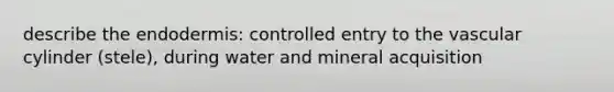 describe the endodermis: controlled entry to the vascular cylinder (stele), during water and mineral acquisition