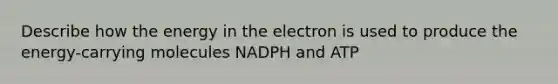 Describe how the energy in the electron is used to produce the energy-carrying molecules NADPH and ATP