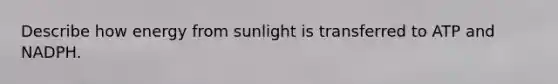 Describe how energy from sunlight is transferred to ATP and NADPH.