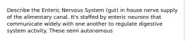Describe the Enteric Nervous System (gut) in house nerve supply of the alimentary canal. It's staffed by enteric neurons that communicate widely with one another to regulate digestive system activity. These semi autonomous