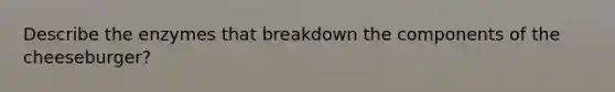 Describe the enzymes that breakdown the components of the cheeseburger?