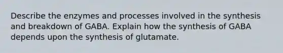 Describe the enzymes and processes involved in the synthesis and breakdown of GABA. Explain how the synthesis of GABA depends upon the synthesis of glutamate.