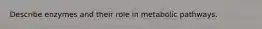 Describe enzymes and their role in metabolic pathways.