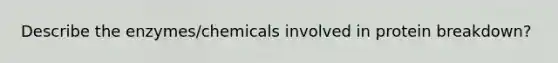 Describe the enzymes/chemicals involved in protein breakdown?