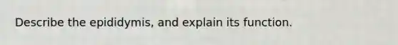 Describe the epididymis, and explain its function.