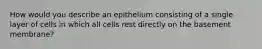 How would you describe an epithelium consisting of a single layer of cells in which all cells rest directly on the basement membrane?