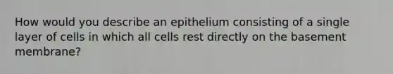 How would you describe an epithelium consisting of a single layer of cells in which all cells rest directly on the basement membrane?