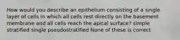 How would you describe an epithelium consisting of a single layer of cells in which all cells rest directly on the basement membrane and all cells reach the apical surface? simple stratified single pseudostratified None of these is correct