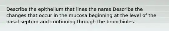 Describe the epithelium that lines the nares Describe the changes that occur in the mucosa beginning at the level of the nasal septum and continuing through the bronchioles.