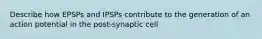 Describe how EPSPs and IPSPs contribute to the generation of an action potential in the post-synaptic cell