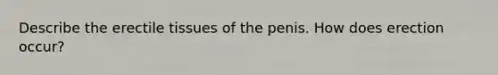 Describe the erectile tissues of the penis. How does erection occur?