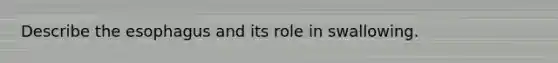 Describe the esophagus and its role in swallowing.