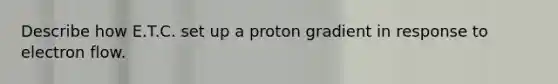 Describe how E.T.C. set up a proton gradient in response to electron flow.