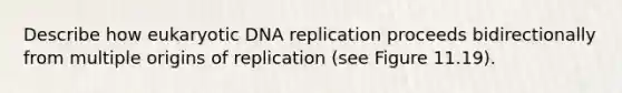 Describe how eukaryotic DNA replication proceeds bidirectionally from multiple origins of replication (see Figure 11.19).