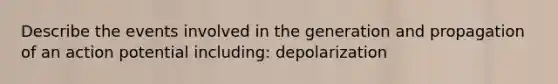 Describe the events involved in the generation and propagation of an action potential including: depolarization