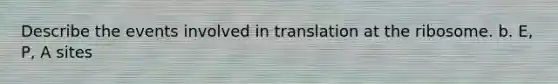 Describe the events involved in translation at the ribosome. b. E, P, A sites